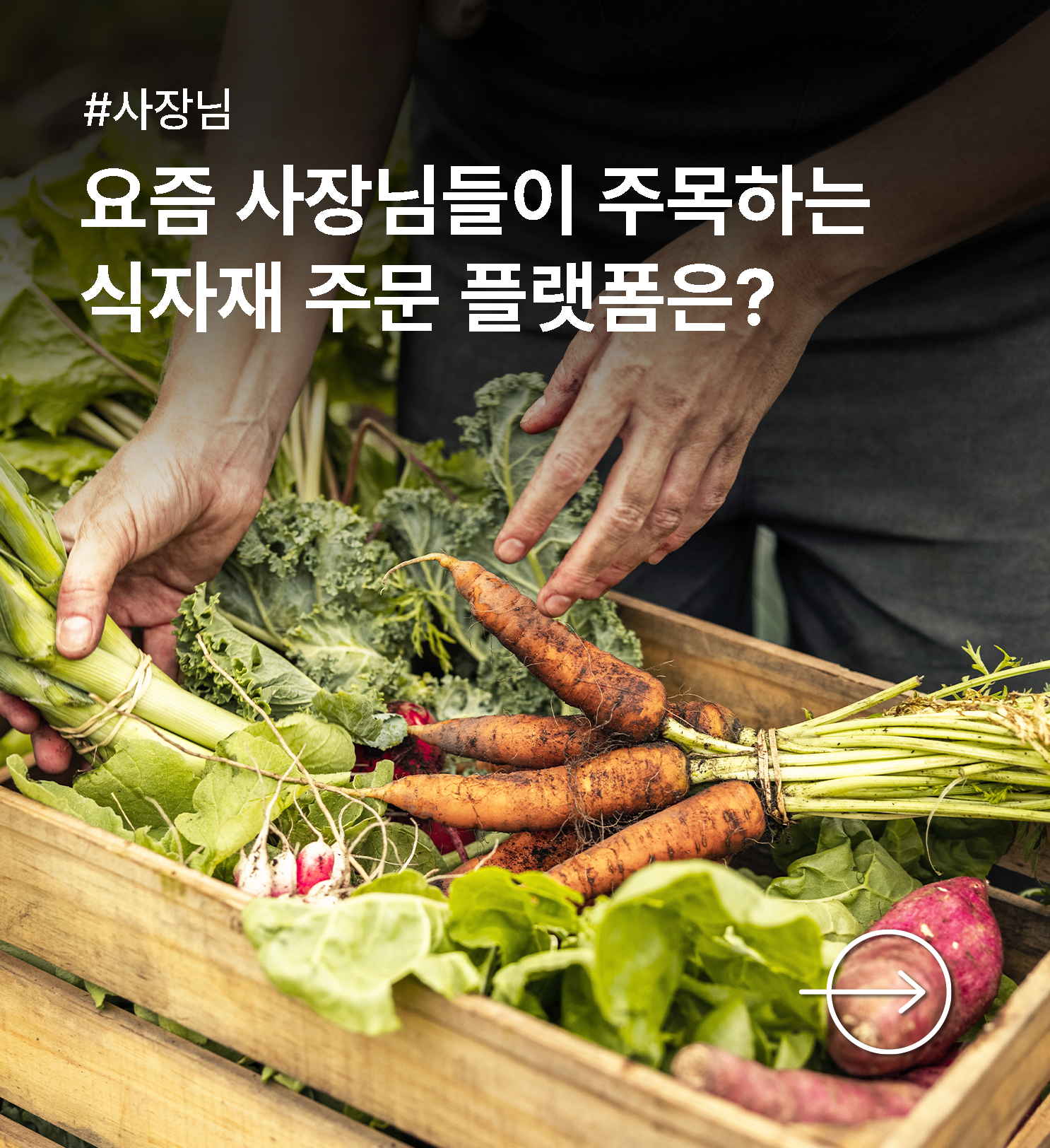 article 영역 배경 이미지